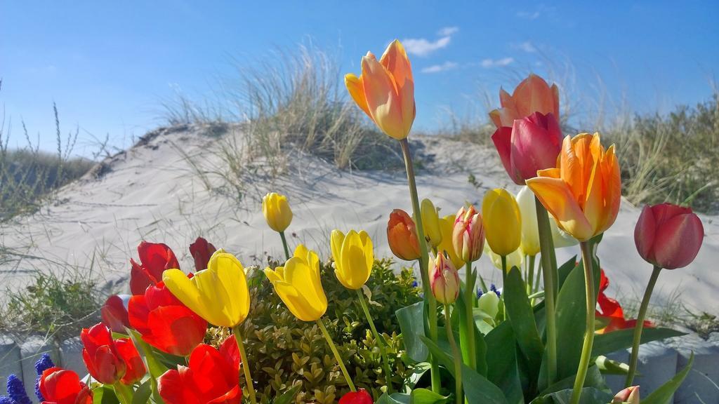 Ostsee Ferienappartements Dierhagen-Strand Klein & Fein Eksteriør billede